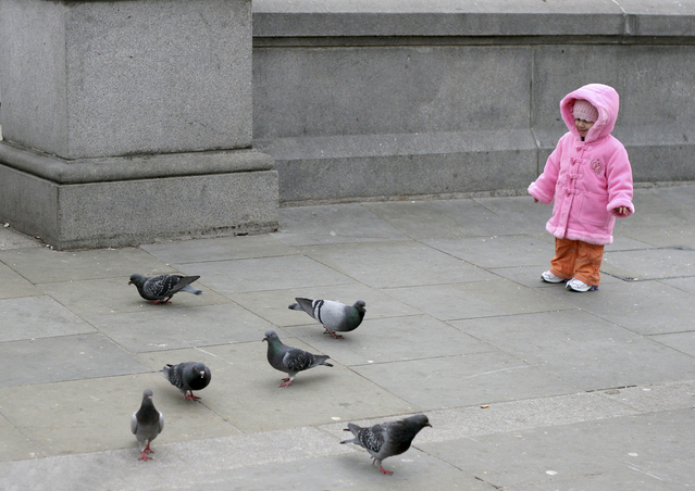 dítě připraveno vrhnout se mezi holuby na náměstí